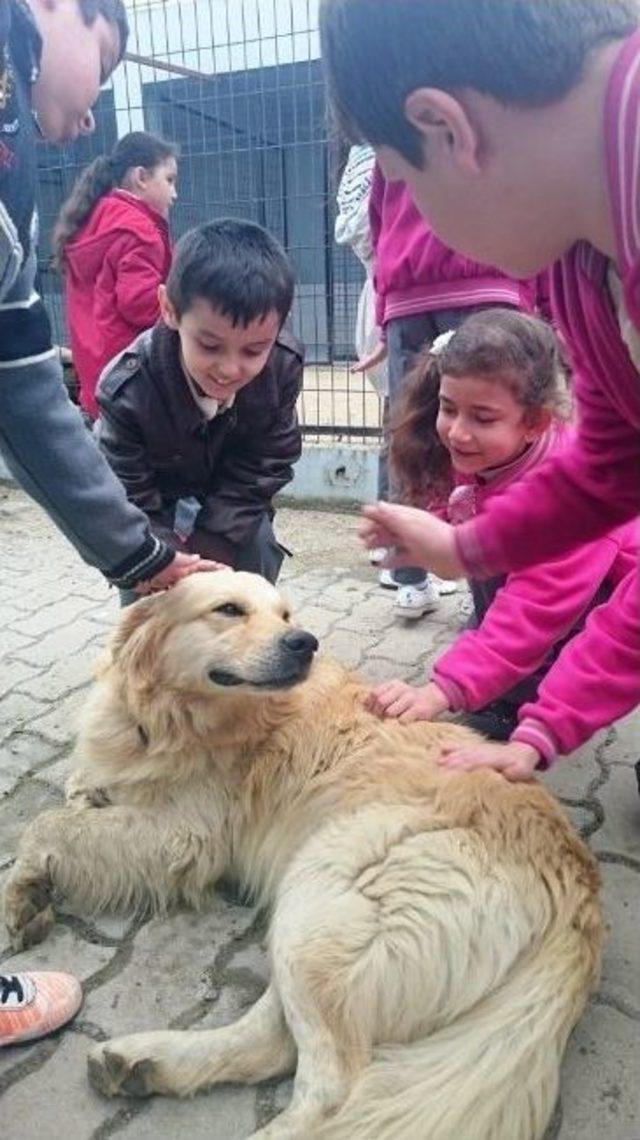 Geçici Bakımevini Ziyaret Eden Öğrencilere Hayvan Sevgisi Aşılanıyor