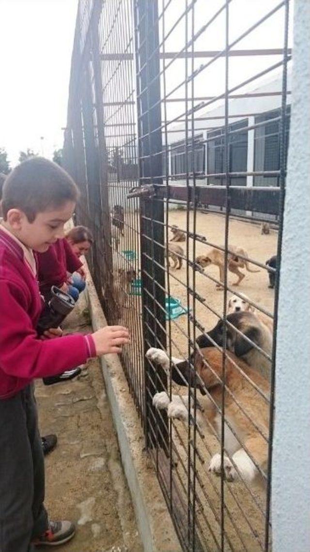 Geçici Bakımevini Ziyaret Eden Öğrencilere Hayvan Sevgisi Aşılanıyor