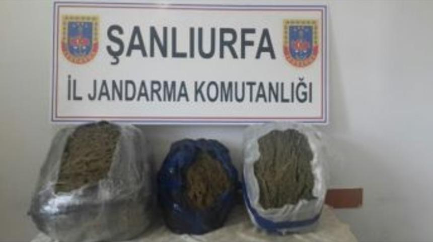Şanlıurfa&rsquo;da Yol Kontrol&uuml; Sırasında Esrar Yakalandı