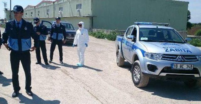 Bandırma daki Mahallede Kuş Gribi Karantinası S&uuml;r&uuml;yor 3