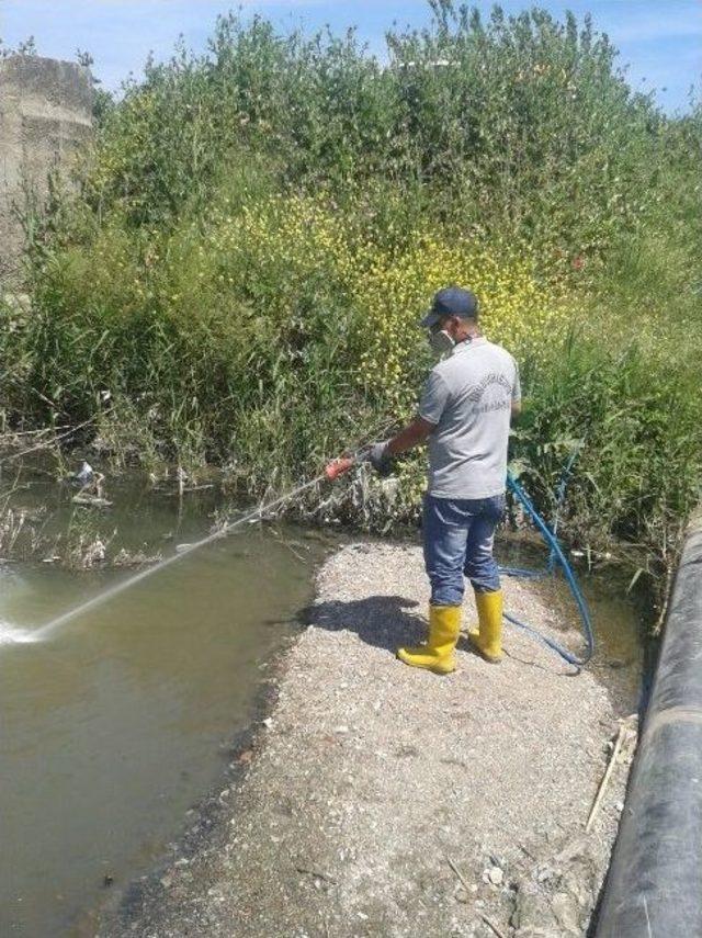 Büyükşehir’den Haşereyle Mücadele