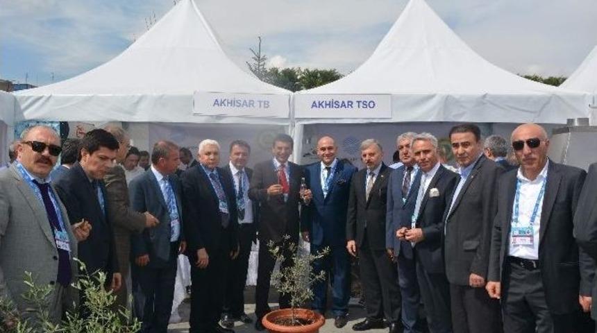 Akhisar Zeytini Ankara&rsquo;da B&uuml;y&uuml;k İlgi G&ouml;rd&uuml;