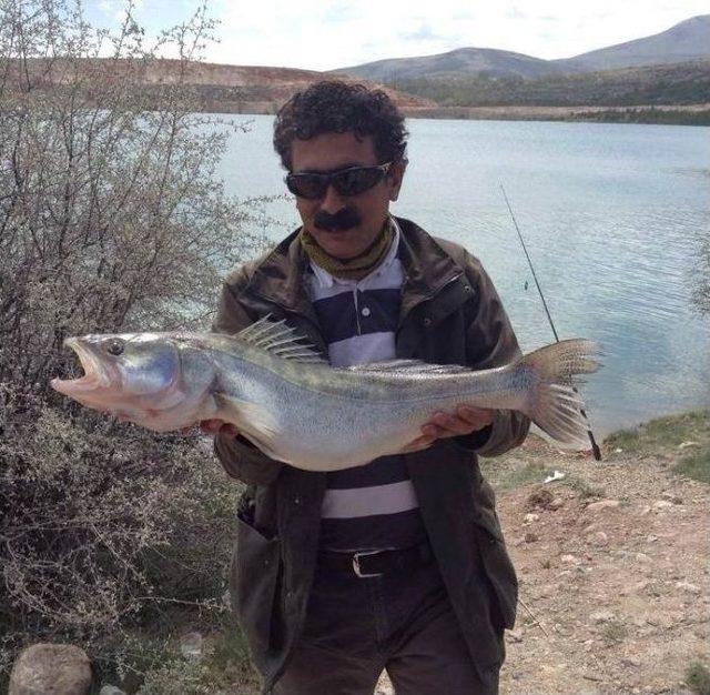 Konya’da Baraj Gölünde 1. Levrek Balığı Yakalama Yarışması Yapıldı