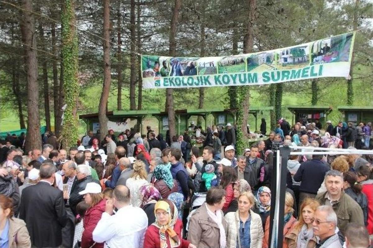 Bafra&rsquo;da 3. Ekolojik Yerel Tohum Ve Yaşam Şenliği