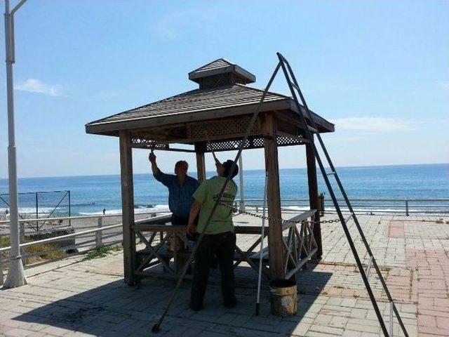 Alanya’da Refüjleri Begonviller Süsleyecek 1