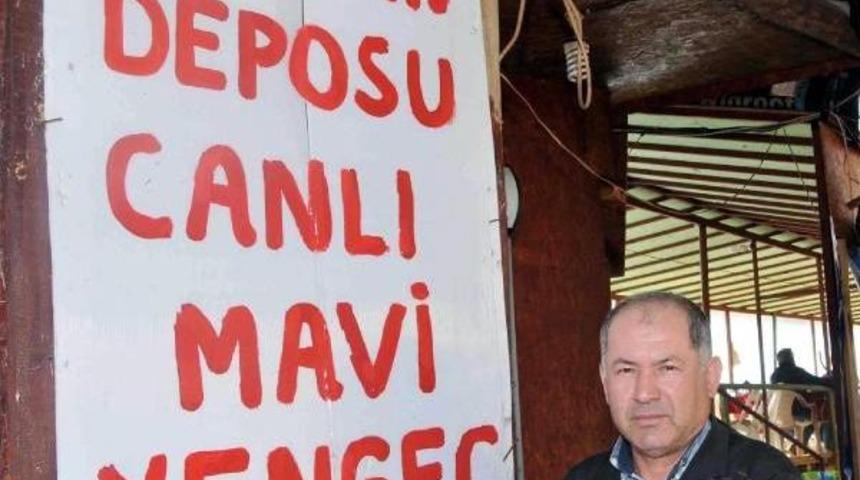 'puretein Deposu' Mavi Yenge&ccedil; Ilgi G&ouml;r&uuml;yor