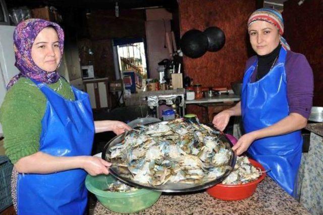  puretein Deposu  Mavi Yenge&ccedil; Ilgi G&ouml;r&uuml;yor 2