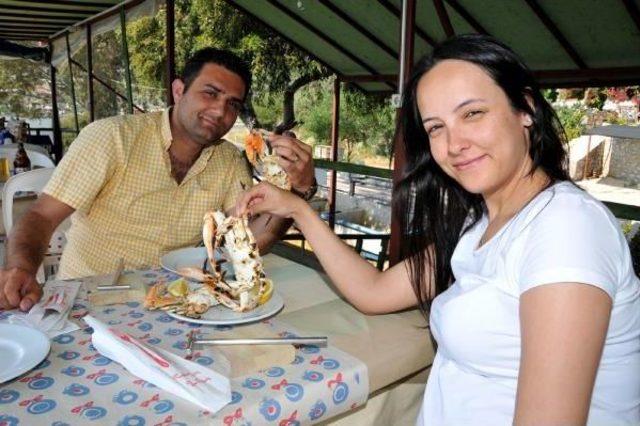  puretein Deposu  Mavi Yenge&ccedil; Ilgi G&ouml;r&uuml;yor 3