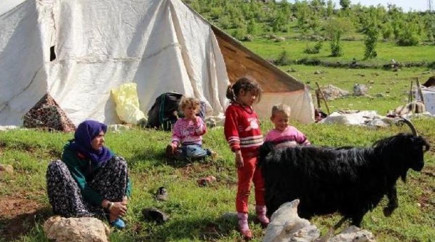 G&ouml;&ccedil;lerler Yayla Yolunda