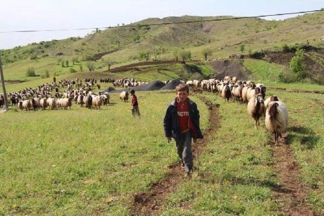 Göçlerler Yayla Yolunda