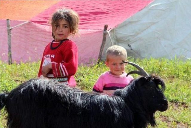 Göçlerler Yayla Yolunda