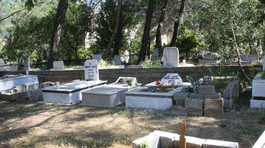 (&ouml;zel Haber) M&uuml;sl&uuml;man Olan Yabancılara İhtida Belgesi Uyarısı