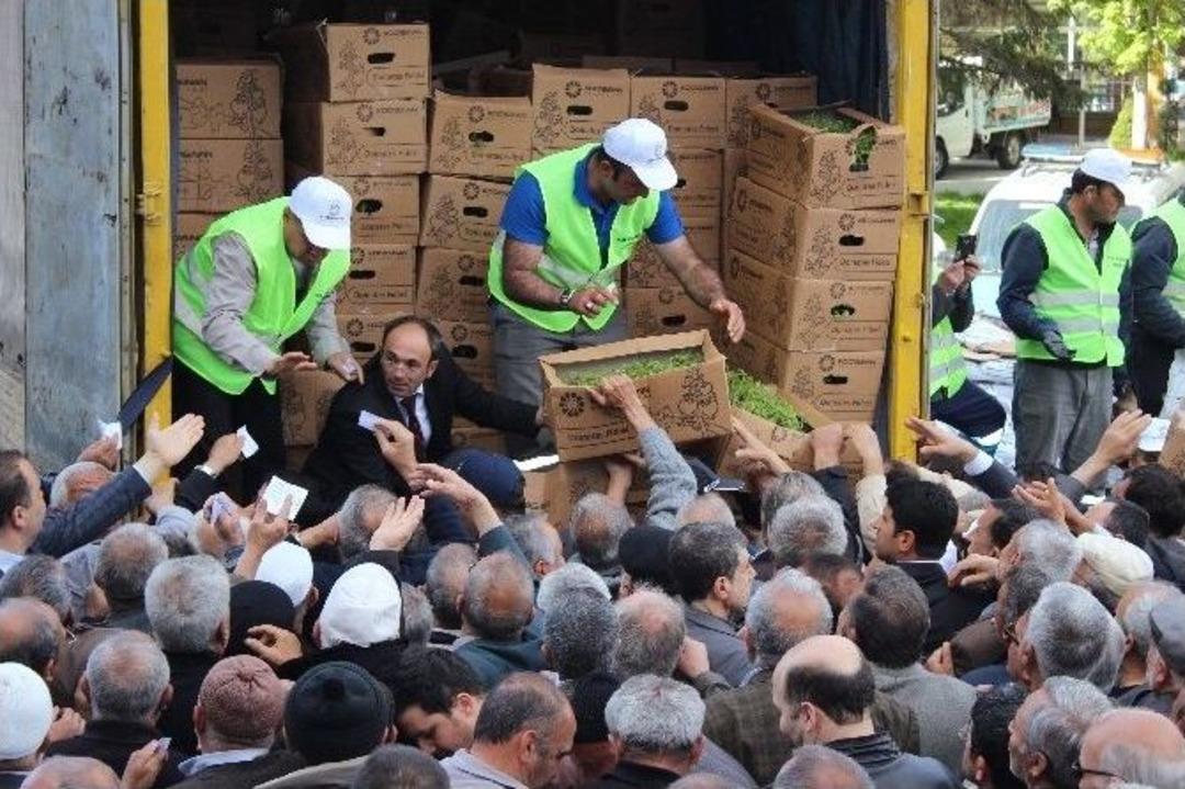 Kayseri&rsquo;de 500 Bin Domates Fidesi Ve 1 Ton G&uuml;bre Dağıtıldı
