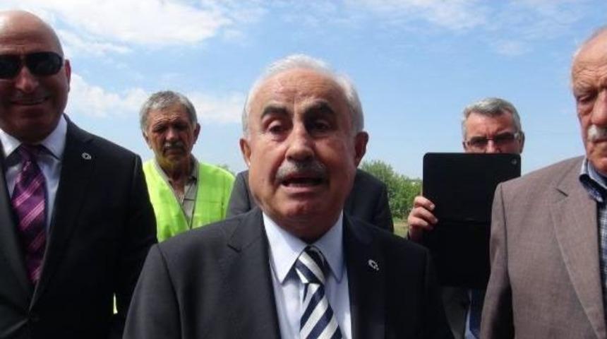 Edirne Valiliği, Başıboş Atlar I&ccedil;in Aylık 5 Bin Liraya &Ccedil;oban Tuttu