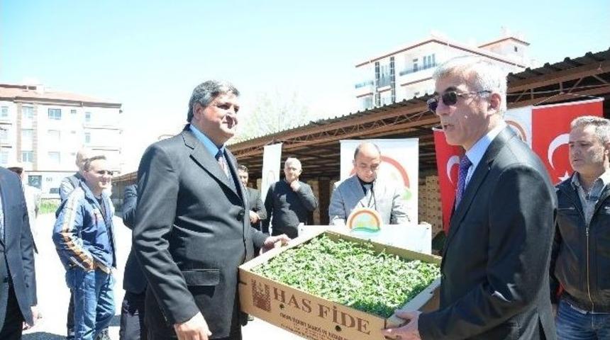 &Ccedil;ift&ccedil;ilere Fide Dağıtımı Yapıldı