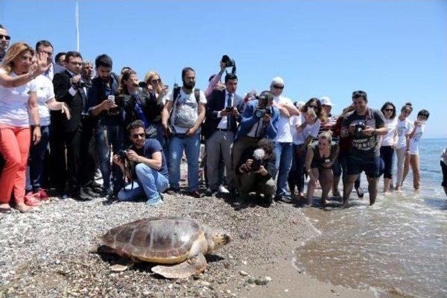 'korikos' Ile 'kilikya' Özgürlüğe Palet Çırptı