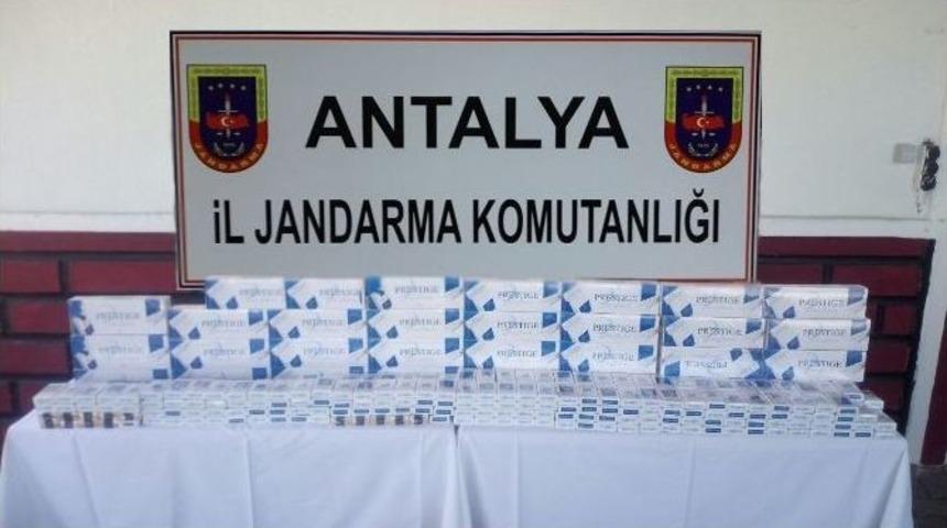 Jandarmadan Ka&ccedil;ak Sigara Ve K&ouml;k Keneviri Operasyonu