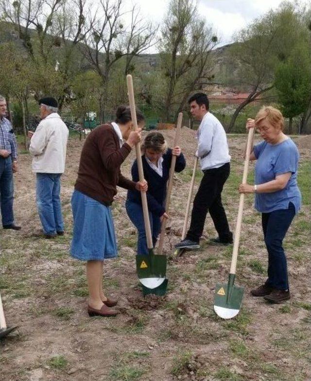 Eskişehir Kent Konseyi Kadın Meclisi’nden “kent Tarımı” Projesi