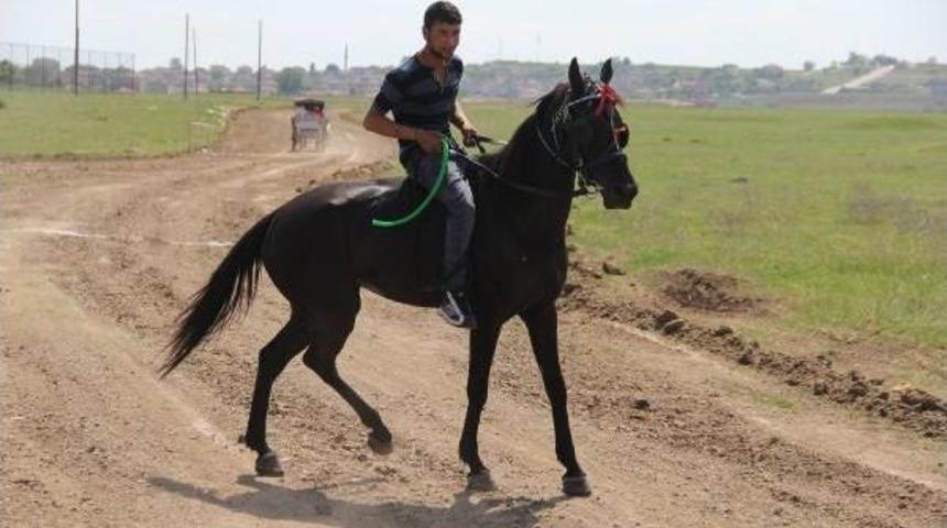 Hıdrellez Ve Kakava Şenlikleri, Y&uuml;k Atlarının Yarışıyla Başladı