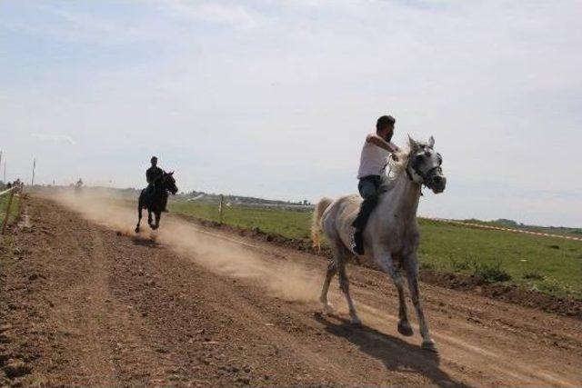 Hıdrellez Ve Kakava Şenlikleri, Yük Atlarının Yarışıyla Başladı