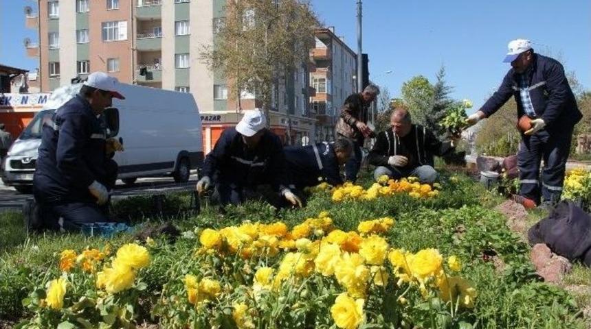 Yeşil Alanlar Yaz D&ouml;nemine Hazırlanıyor