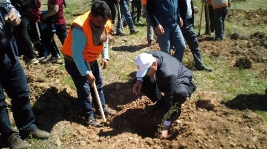 Sarıveliler&rsquo;de Fidan Dikimi Ve U&ccedil;urtma Şenliği