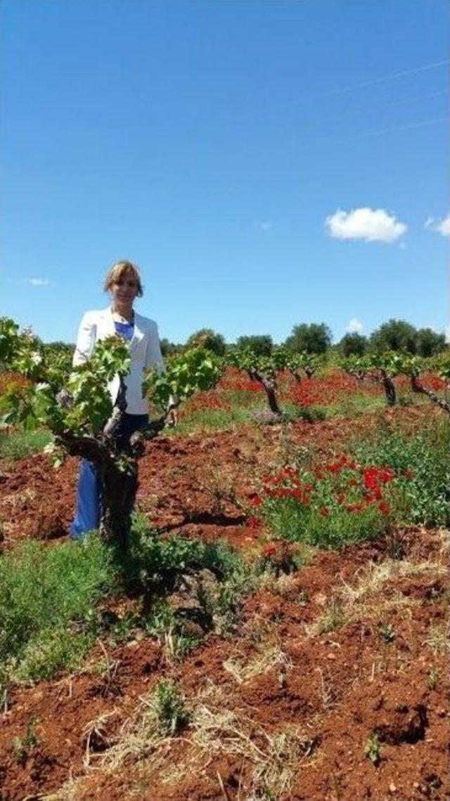 Kadıoğlu, &Uuml;z&uuml;m &Uuml;reticilerini Ziyaret Etti 2