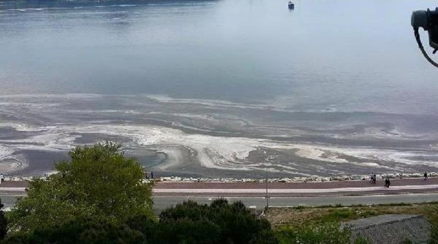 Gemlik K&ouml;rfezi&rsquo;Ndeki Renk Değişikliğinin Nedeni 'alg Patlaması'