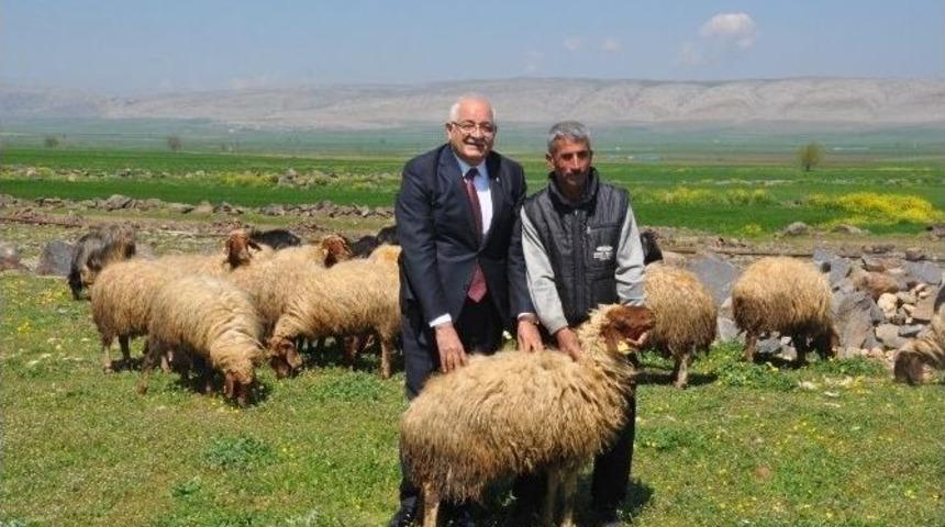 Erdoğan, "dağdaki &Ccedil;obanın Da Milletvekiliyim""