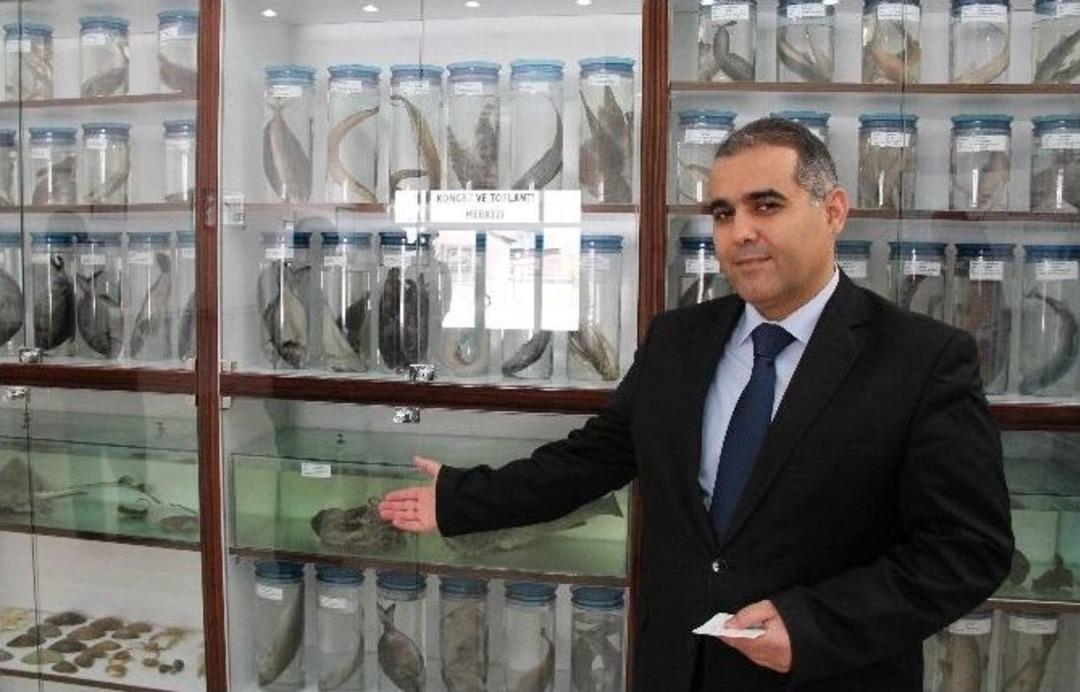 Elazığ&rsquo;da Balık M&uuml;zesi Kuruldu