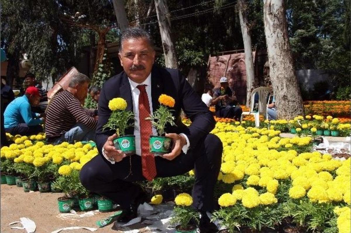 Annelere 50 Bin &Ccedil;i&ccedil;ek