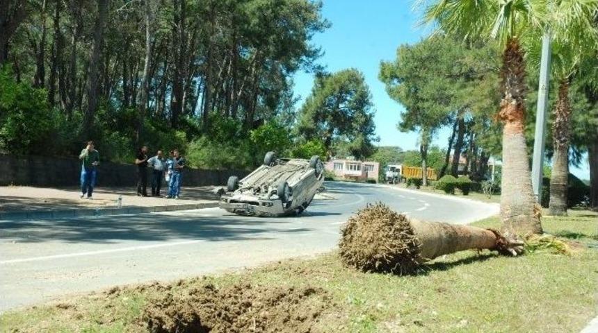 Takla Atan Otomobilden Burunları Bile Kanamadan &Ccedil;ıktılar