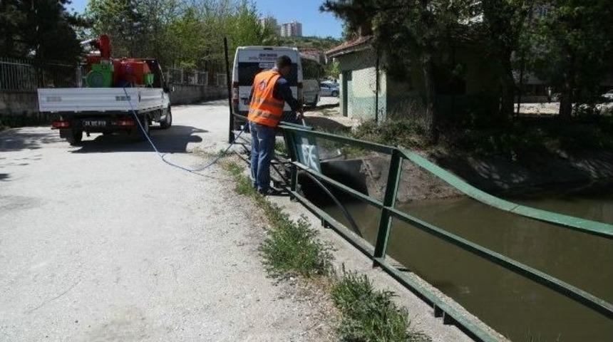 Odunpazarı&rsquo;nda Haşerat İle M&uuml;cadele &Ccedil;alışmaları