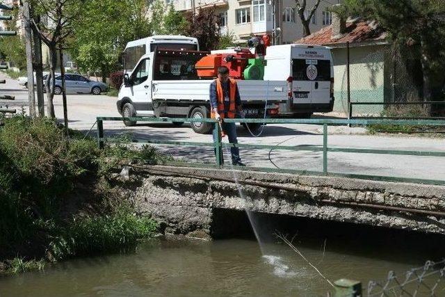 Odunpazarı’nda Haşerat İle Mücadele Çalışmaları