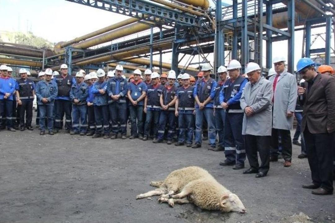 Kardemir&rsquo;de İş Sağlığı Ve G&uuml;venliği Haftası Etkinliği