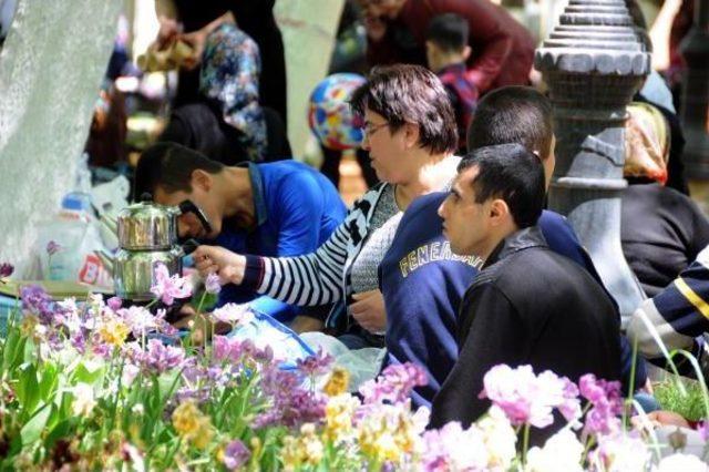 Gaziantep’Te Hıdırellez Kutlandı