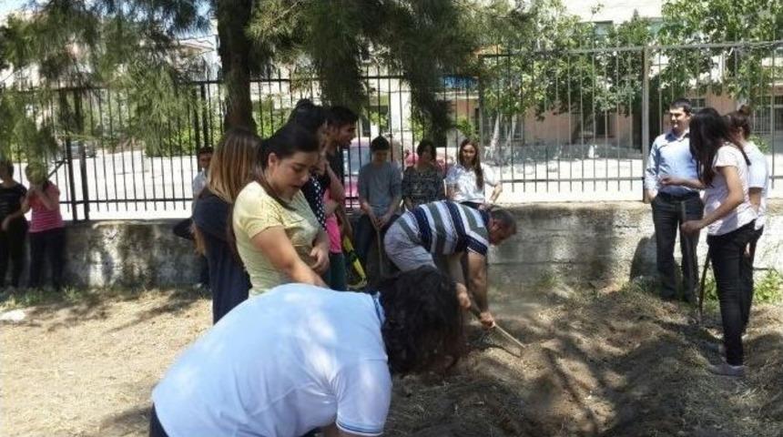 Yerel Tohum Derneği Aliağa&rsquo;da