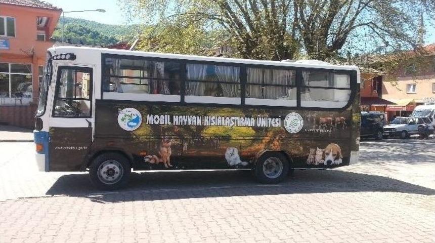 50 Sokak Hayvanı Kısırlaştırıldı