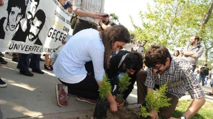 Denizler I&ccedil;in &Uuml;&ccedil; Fidan Diktiler