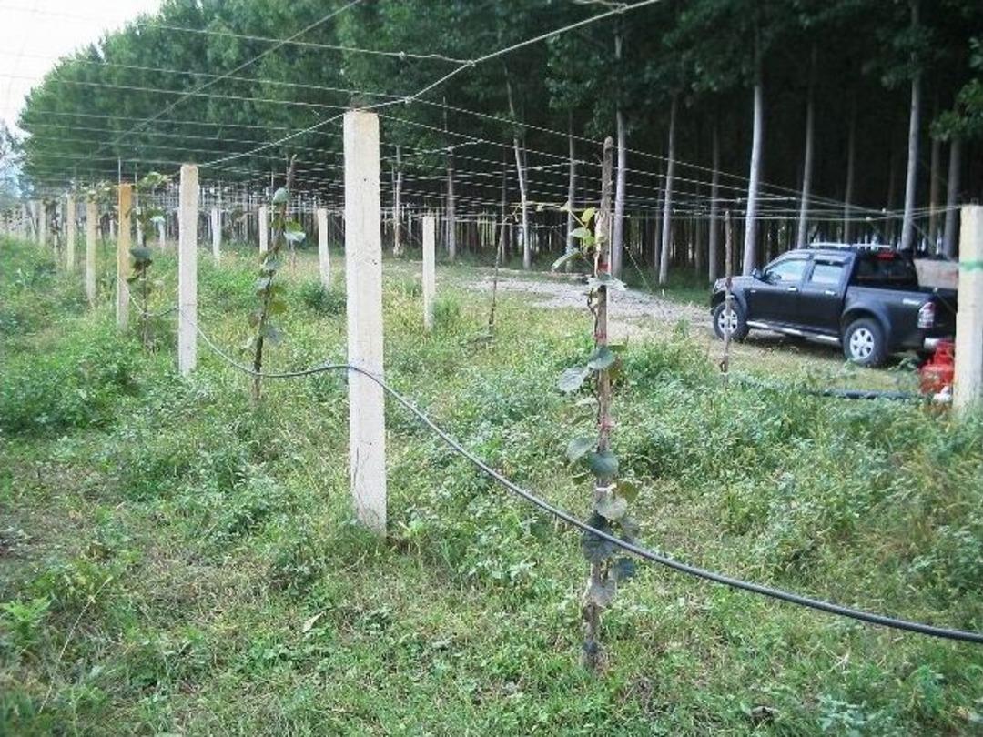 Bireysel Sulama Makine Ve Ekipmanlarına Y&uuml;zde 50 Hibe Desteği