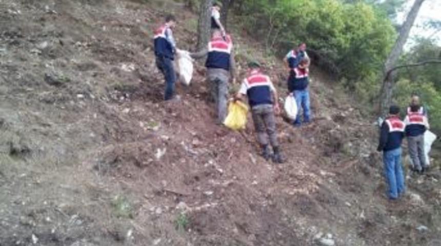 Ormanda Ağa&ccedil;ları Kesip Kenevir Ekmişler