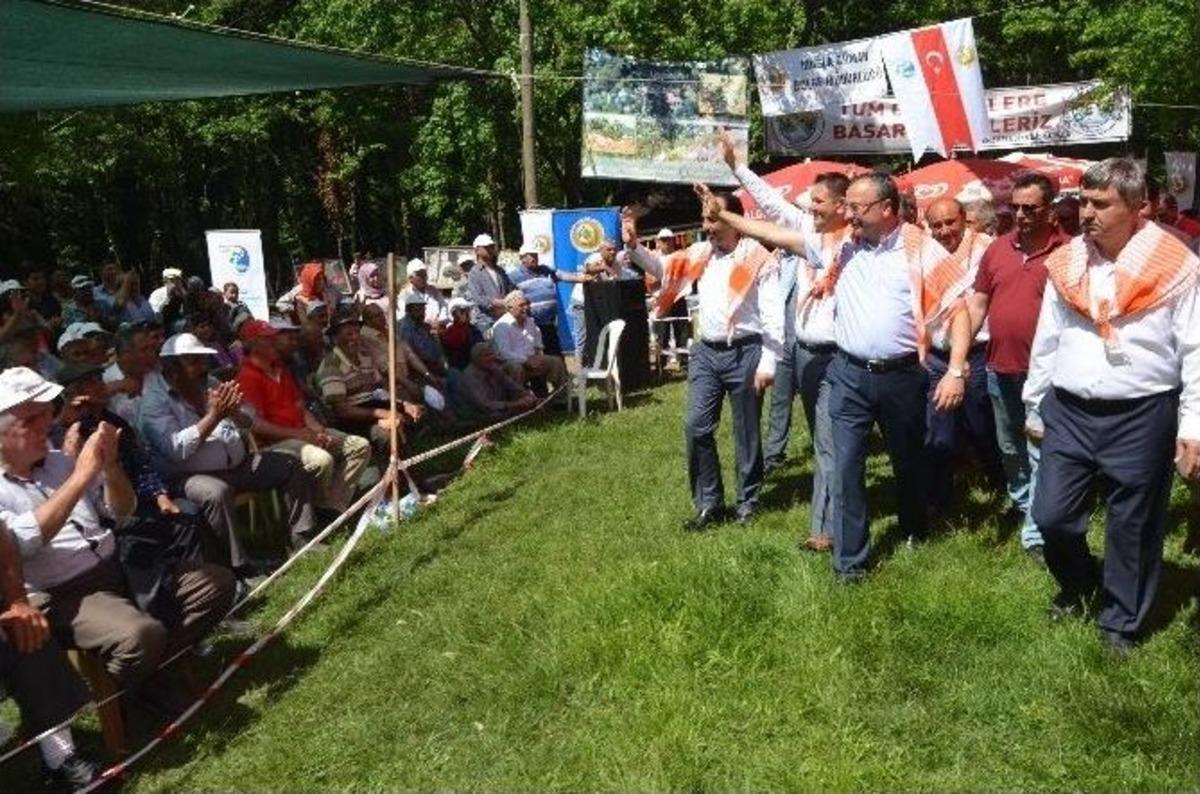 Yeliş, K&ouml;yceğiz&rsquo;de &Uuml;&ccedil;&uuml;nc&uuml; Kez Başpehlivan