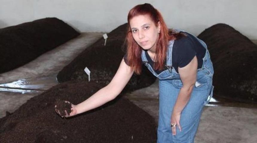 Kadın Girişimcinin, Solucan Iş&ccedil;ileri