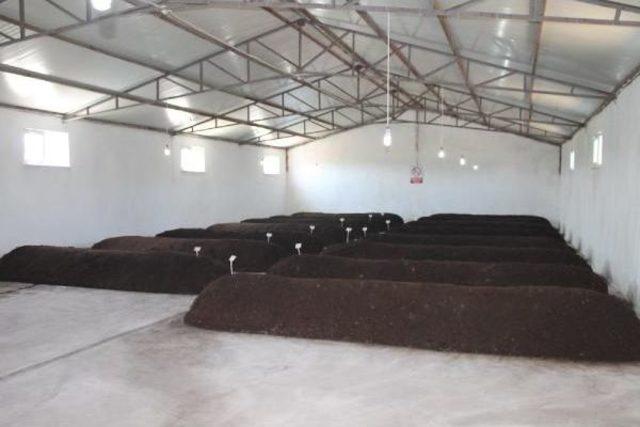 Kadın Girişimcinin, Solucan Iş&ccedil;ileri 2