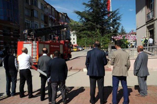 Ağa&ccedil;ta Mahsur Kalan 2 Yavru Kediyi Itfaiye Kurtardı 2