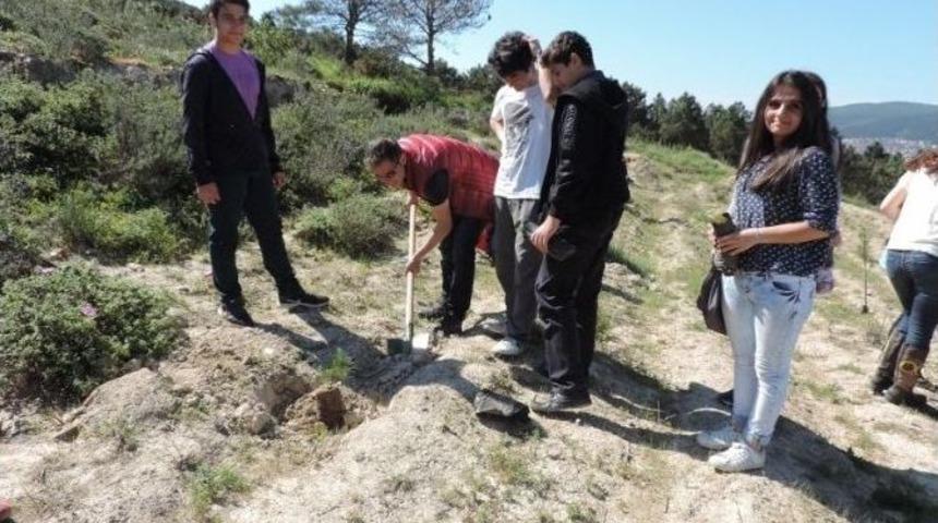 Sultanbeylili &Ouml;ğrenciler Fidan Dikti