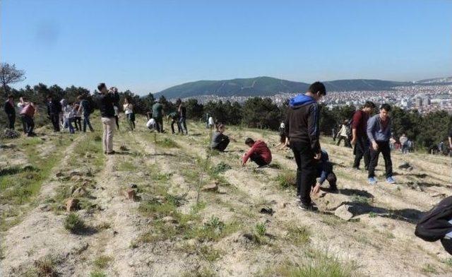 Sultanbeylili Öğrenciler Fidan Dikti