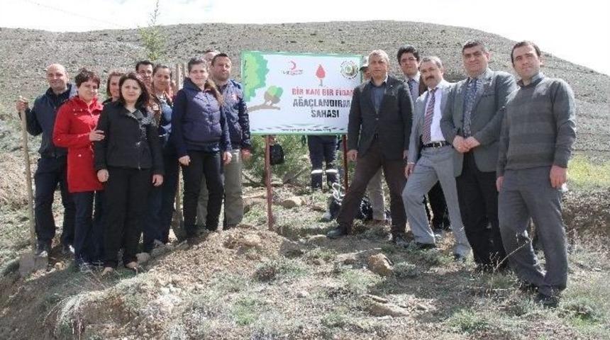 Erzincan&rsquo;da &ldquo;bir Kan, Bir Fidan&rdquo; Projesi İle 14 Bin 500 &Ccedil;am Fidanı Dikildi