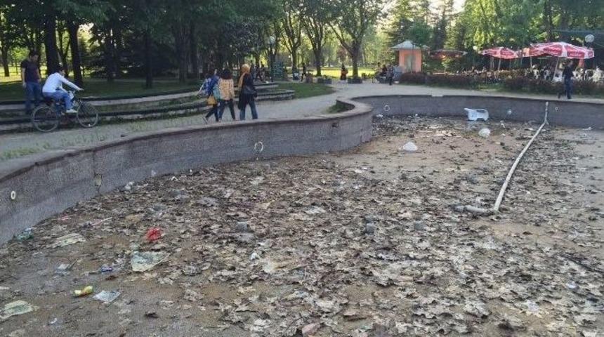 Botanik Park Havuzları &Ccedil;&ouml;pl&uuml;k Oldu