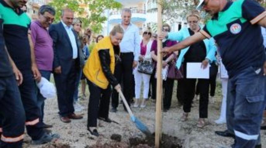 Mezitli&rsquo;ye &Ouml;zel Bir Koruluk Daha Yapıldı